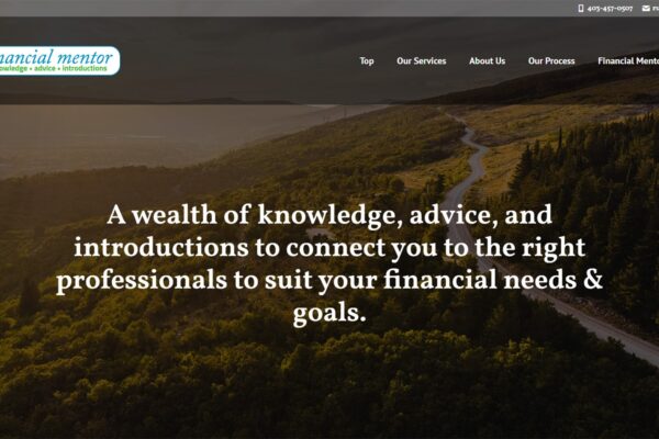 Recently Completed: The Financial Mentor Website